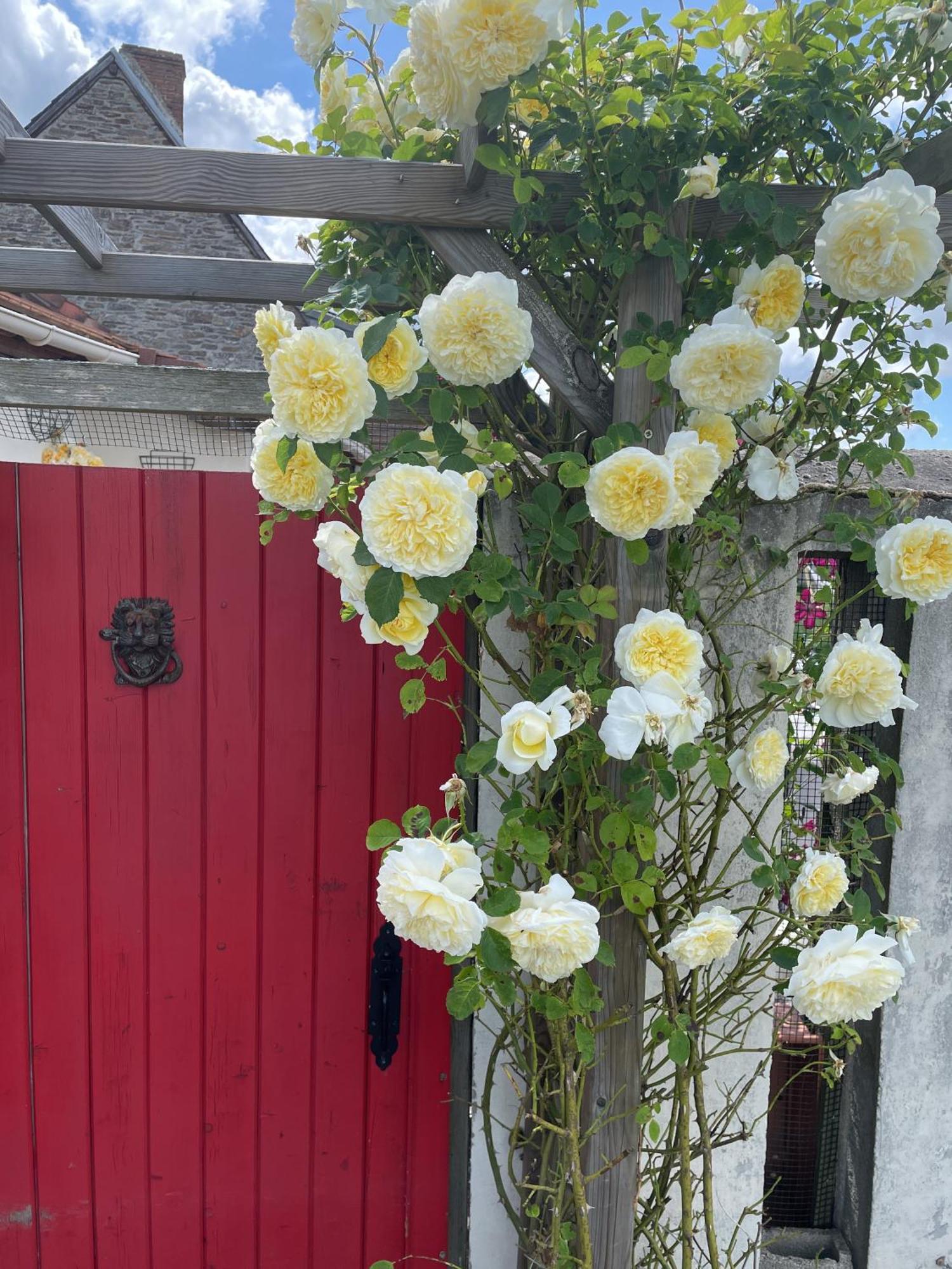 Delightful French Rustic Studio Jumilhac-le-Grand Bagian luar foto