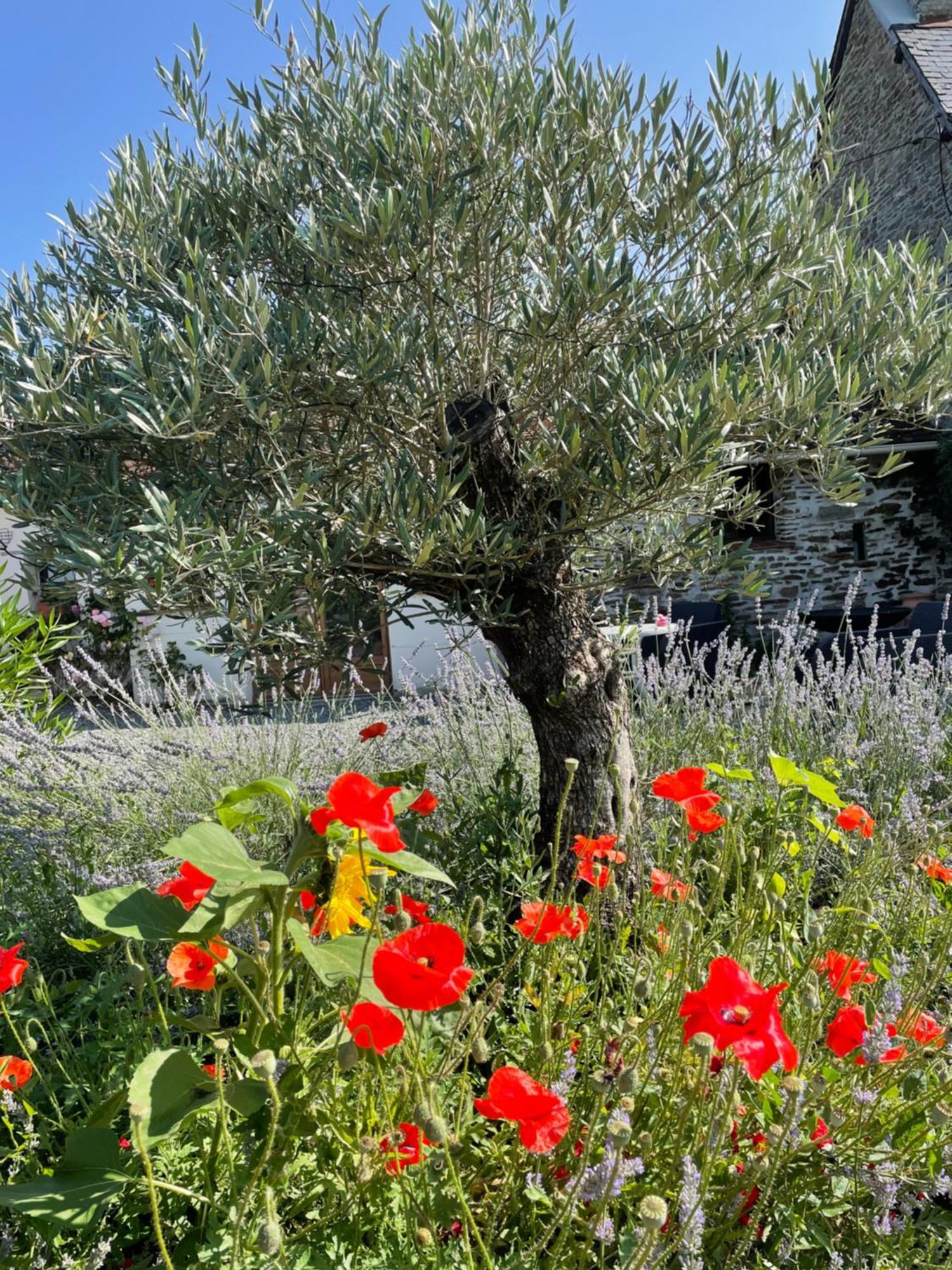 Delightful French Rustic Studio Jumilhac-le-Grand Bagian luar foto
